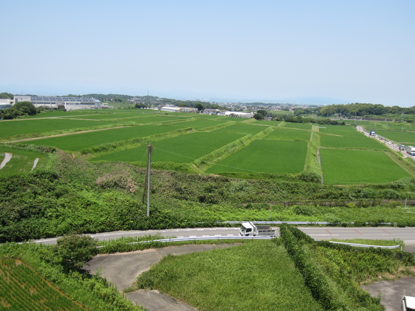 <p>2026年7月撮影<br />
青々とした水田(半田揚水機場吐水槽より:常滑市久米)</p>